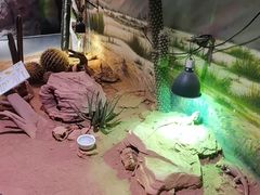 -正佳雨林生态植物园