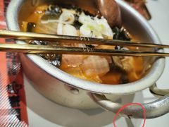 -崔解放·朝韩大排档(虹悦城店)