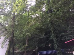 -龙井壹号·茶缘山景宴(龙井村店)