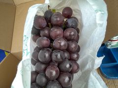 -马陆小张葡萄园农家乐