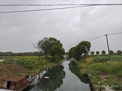 -莲花岛景区