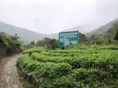 -缥缈峰景区