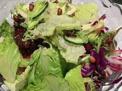 -阿西娅食府(中关村店)