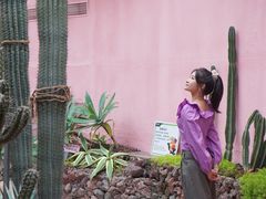 -正佳雨林生态植物园