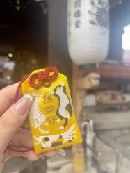 -Fanni美甲美睫皮肤管理