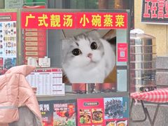 -老鳖私房菜(常青花园店)