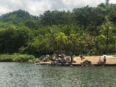-深圳仙湖植物园