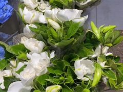 -双季花艺园艺市场(浦东店)