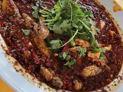 -胖大姐黄辣丁鱼庄(新津店)