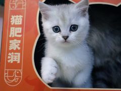 -鱼上·烤鱼(万象城店)