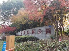-宝界山林公园