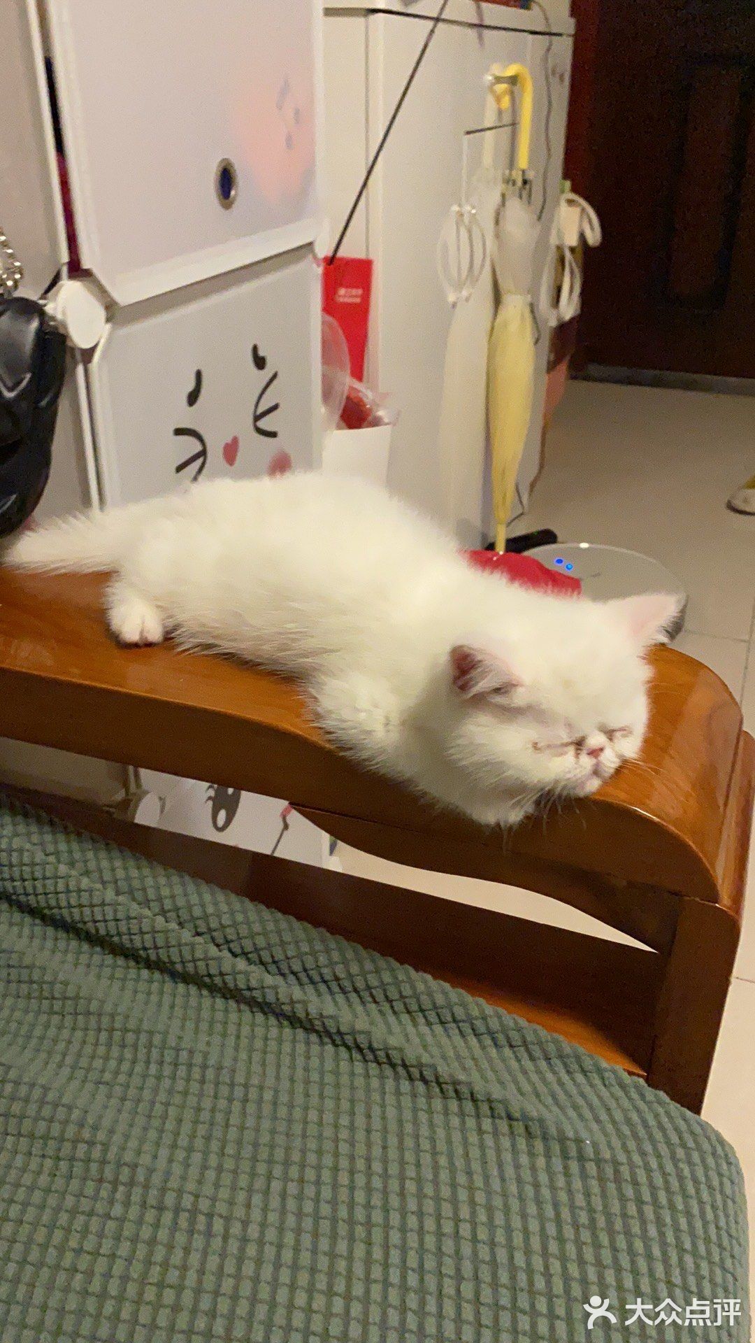 一不小心就长大了