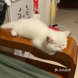 一不小心就长大了