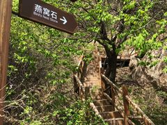 -大岭沟猕猴桃谷风景区