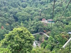 -南丹山森林王国