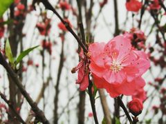 -乌山风景区