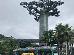 -苏州乐园森林水世界