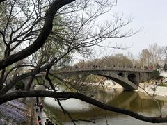 -赵州桥景区