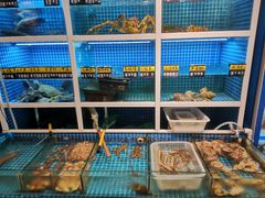 水产区-金龙·打边炉(南京西路店)