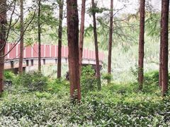 -南翔镇银翔湖公园