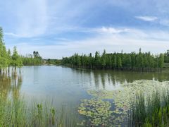 -白鹭湾湿地公园