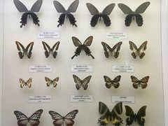 -陕西自然博物馆