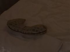 -亦境芳香·SPA影院足道(梅林店)