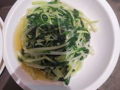 -老伙记海鲜码头(北滘店)