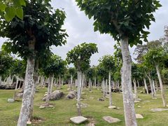 -三亚南山文化旅游区