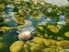 -白河湾生态旅游一条川