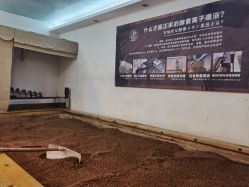 -敖东酵素·离子暖房