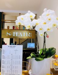 -S.HAIR SALON