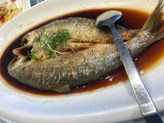 清蒸鲥鱼-江南赋(内蒙古大厦店)