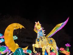 -金城公园