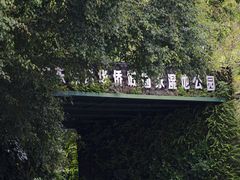 -华侨城湿地公园