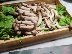 -尚尚仙·酸汤猪手·猪肚鸡火锅(华联万柳购物中心店)