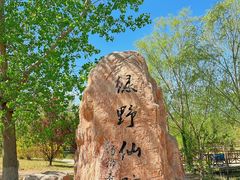 -杨柳青庄园