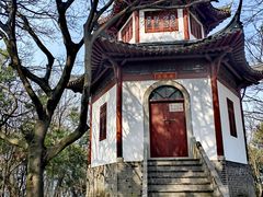 -上海佘山国家森林公园天马山园