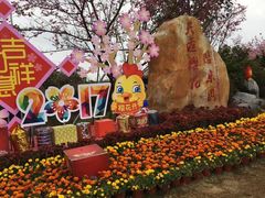 -天适樱花悠乐园