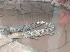 -杭州长乔极地海洋公园