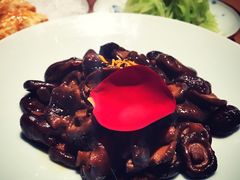 -九朝会昆曲·宴(望京店)