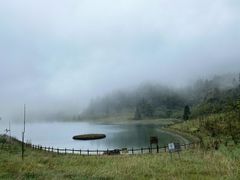 -武陵山森林公园