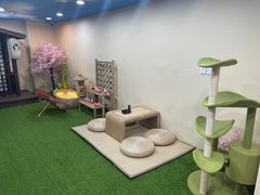 -白兔子密室(长寿路店)