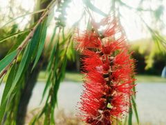 -芒洲湿地公园