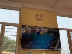 -小小王国亲子游泳(富民中心)