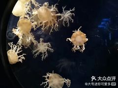 -阪急百货店(梅田总店)