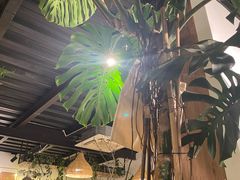 -自由生长植物工作室(深港花卉中心店)