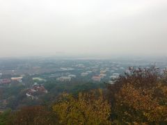 -上海佘山国家森林公园西佘山园