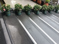 -顺兴老茶馆·精品川菜(世纪城店)