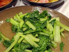 -松赞拉萨林卡酒店